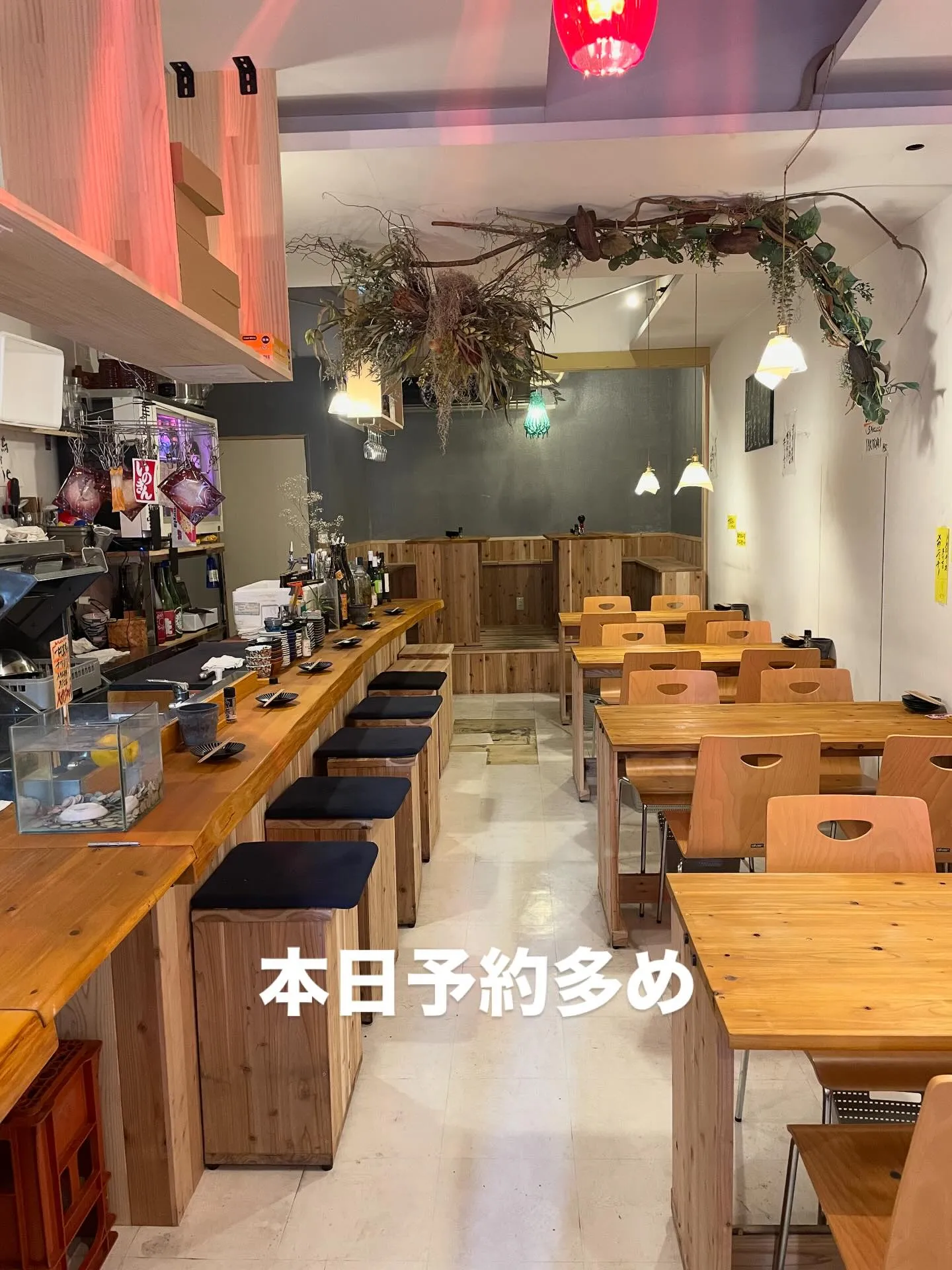 12月5日 金酔日🍺