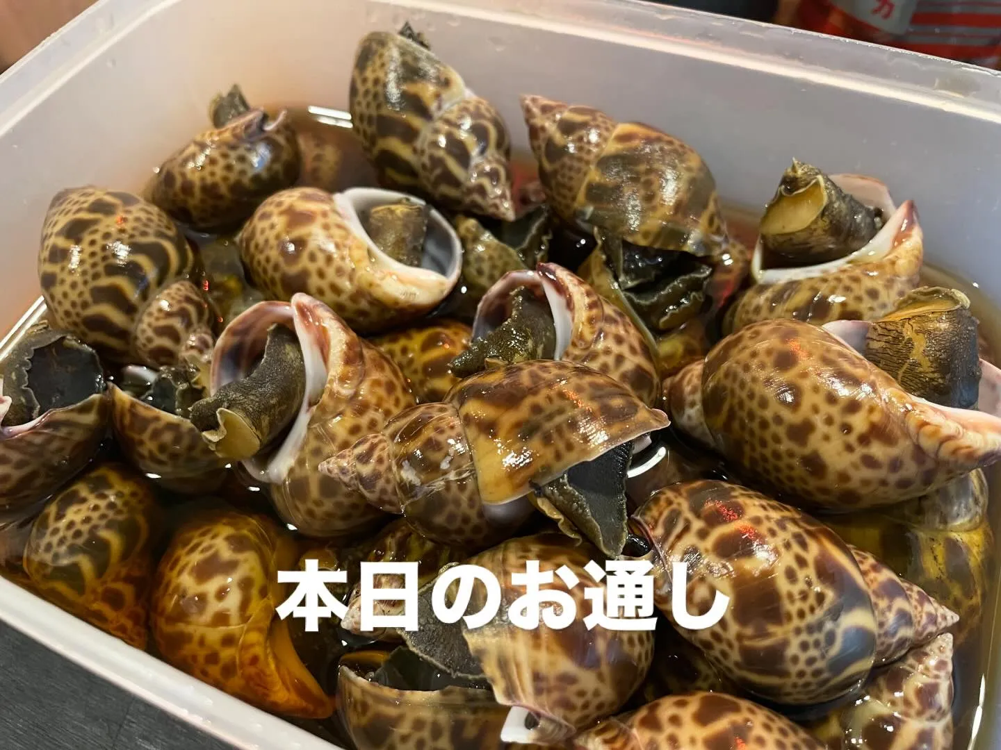 12月7日 日酔日🍺